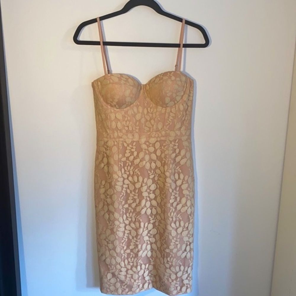 Floral Lace Bustier Midi Dress in Beige
